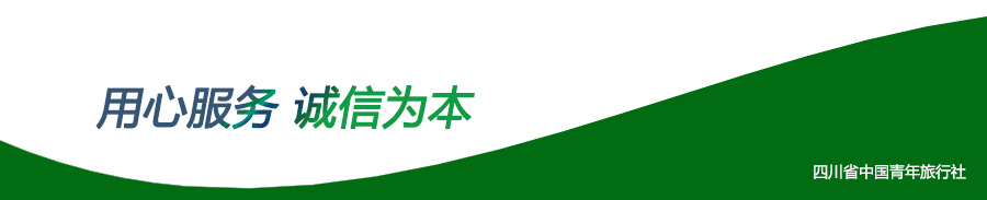 公司服务图